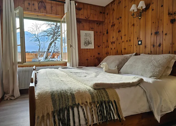 Alpin Vue Dent Blanche