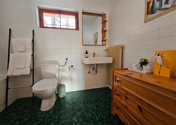 Alpin Vue Dent Blanche *